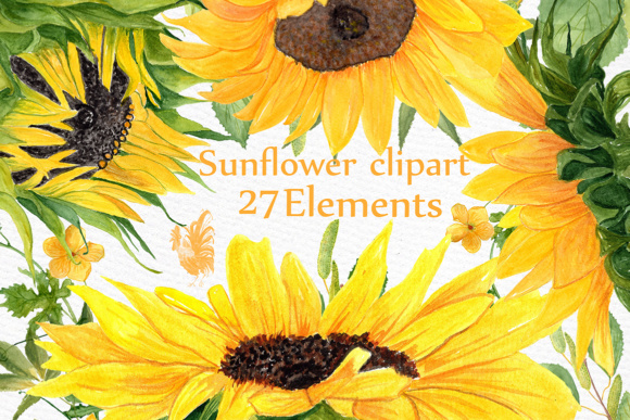 Sunflower Watercolor Clipart for Wedding & Floral DIY